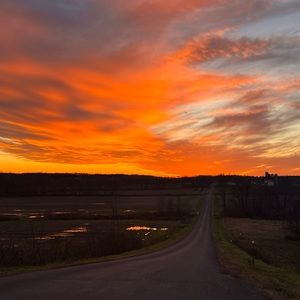 Meet your Posher, Katrina